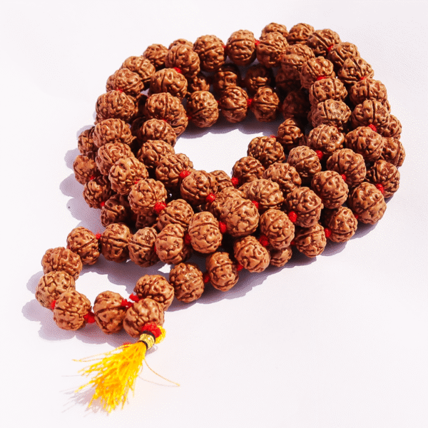 5 Mukhi Rudraksha Mala 108 Beads 5 Face Original Rudraksha Japa Mala 10mm Brown - Image 3